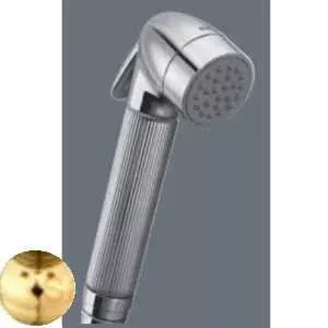 Душевая лейка Nicolazzi Ablution Set 5523GO золото
