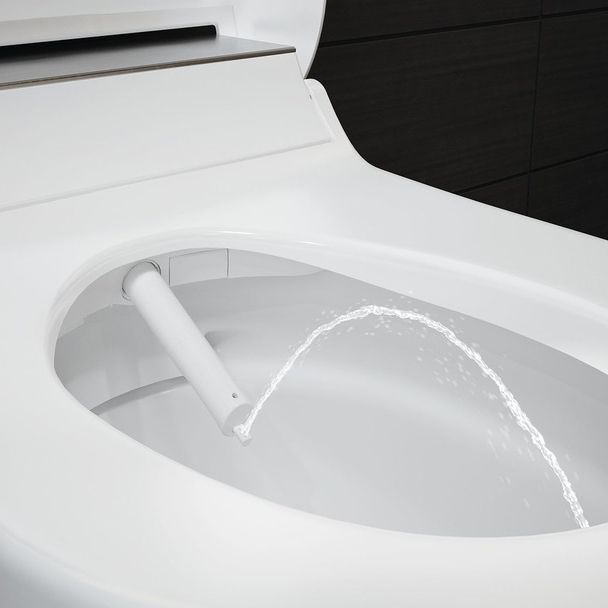 Унитаз-биде подвесной Geberit AquaClean 146.294.SJ.1, белый, стекло чёрное